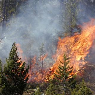 Les pompiers tentent d'éteindre un violent incendie de forêt dans la région d'Arbaz, en Valais, le 14 avril 2007. [Olivier Maire]