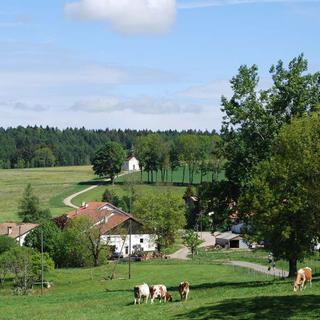 Une éclaircie dans le projet de fusion aux Franches-Montagnes. [Gaël Klein]