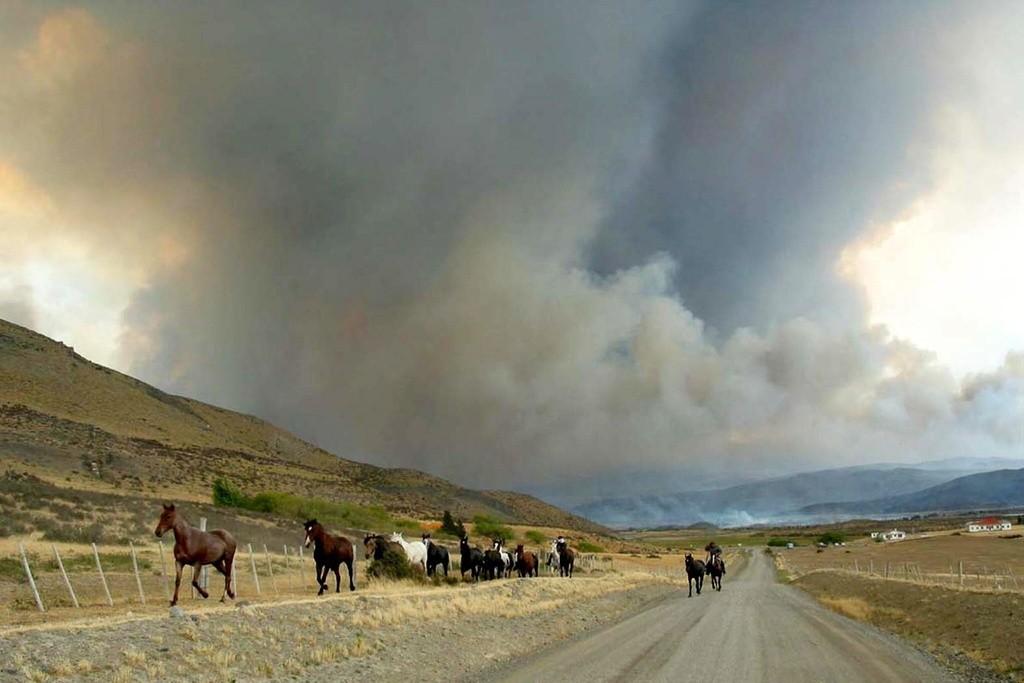 Des éleveurs de chevaux chiliens déplacent leurs chevaux, menacés par la progression des flammes. [Diario La Prensa Austral]