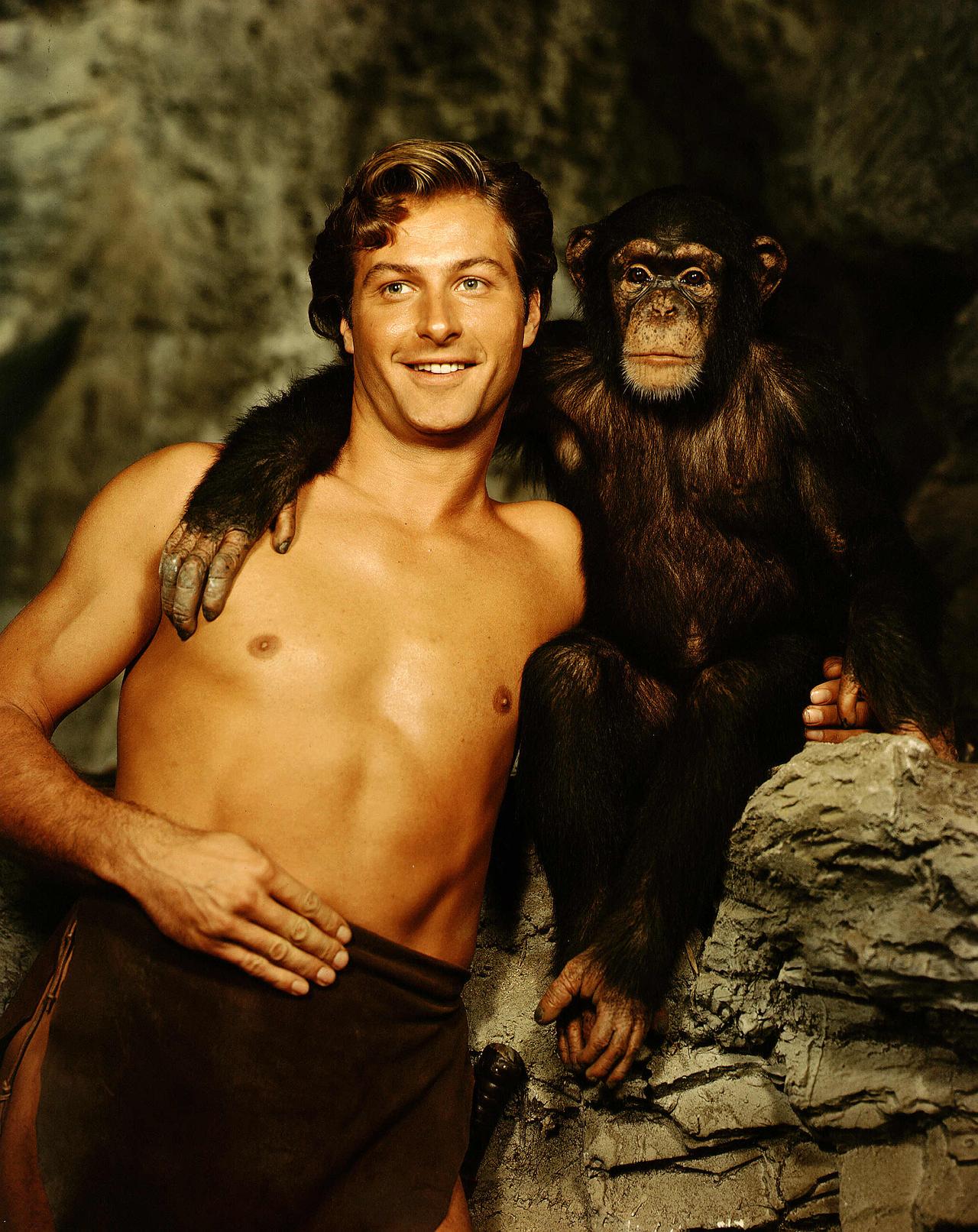 Cheetah, ici dans "Tarzan et la diablesse", film de 1953 réalisé par Kurt Neumann, avec l'acteur Lex Barker dans le rôle de Tarzan [The Kobal Collection]