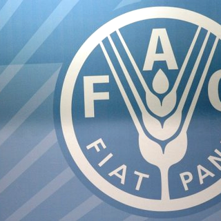 Le logo de la FAO