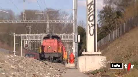 CFF: un arbre s'est abattu sur les voies entre Genève et Chambésy vendredi matin, perturbant fortement le trafic