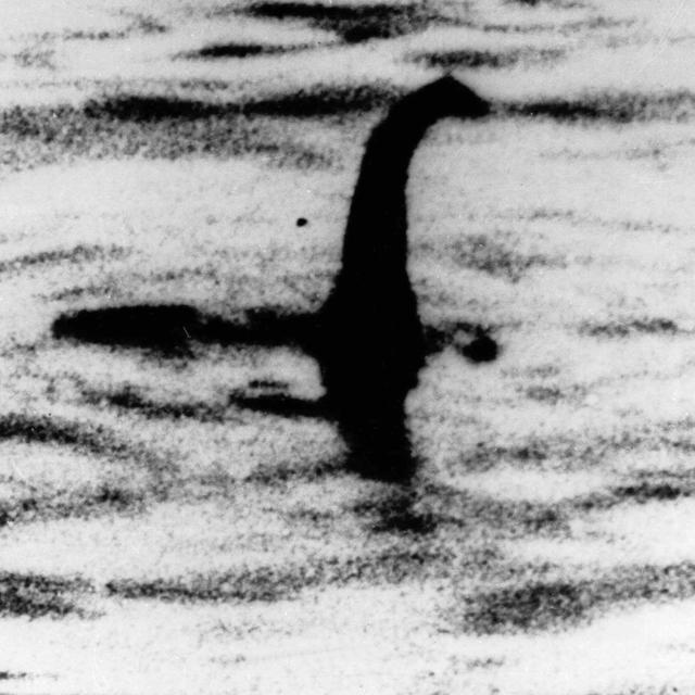 Nessie [AP Photo]