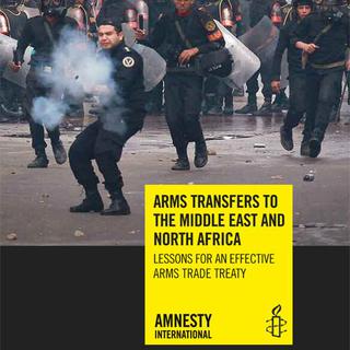 La Suisse est mentionnée à plusieurs reprises dans le rapport "Arms transfers to the Middle East and North Africa". [Amnesty International]