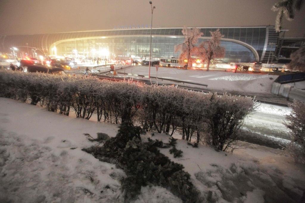 L'aéroport de Domodedovo est le plus grand des trois aéroports de Moscou. [Pavel Golovkin]