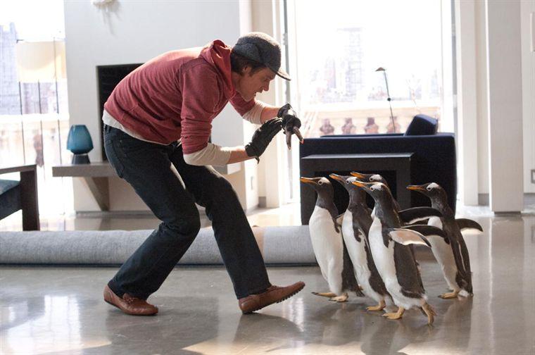 Les excentricités de Tom Popper et des ses pinguoins.