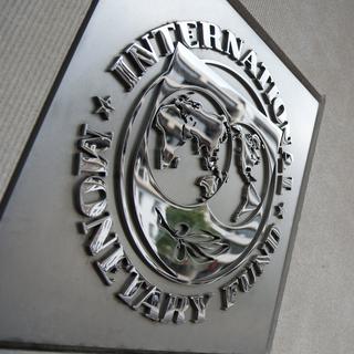 Logo du FMI [Saul Loeb]