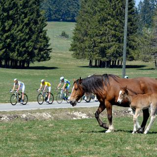 Le peloton du Tour de France aura droit aux magnifiques paysages du Jura. [Keystone - Dominic Favre]