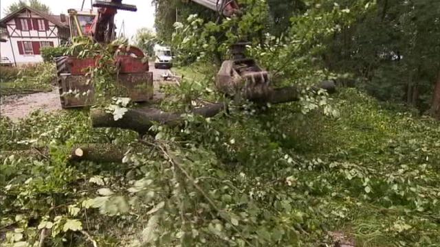 La voirie n'a pas chômé pour déblayer les routes encombrées par les arbres.