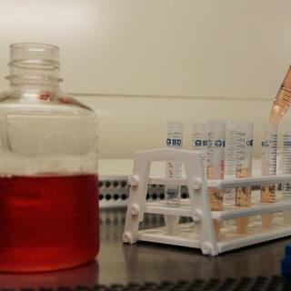 Un laboratoire de recherche sur le virus du Sida à New York, le 21 mai 2010