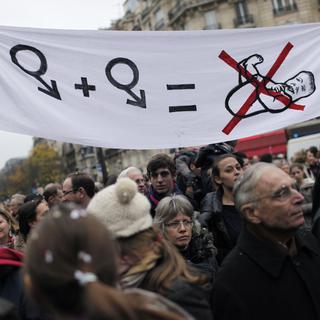 Les opposants à l'adoption par les gays se sont réunis dans les principales villes françaises. [Thibault Camus]
