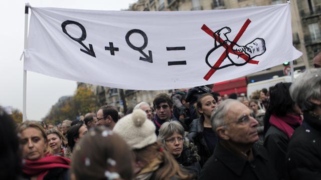 Les opposants à l'adoption par les gays se sont réunis dans les principales villes françaises. [Thibault Camus]