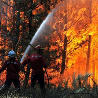 Plus de 1000 pompiers et secouristes ont été mobilisés vendredi pour combattre les incendies qui font rage depuis deux jours dans le sud du Portugal et à Madère, deux régions très prisées des touristes. [EPA/NUNO ANDRE FERREIRA]