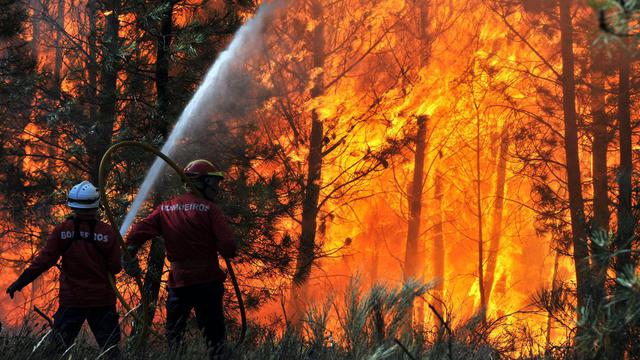 Plus de 1000 pompiers et secouristes ont été mobilisés vendredi pour combattre les incendies qui font rage depuis deux jours dans le sud du Portugal et à Madère, deux régions très prisées des touristes. [EPA/NUNO ANDRE FERREIRA]