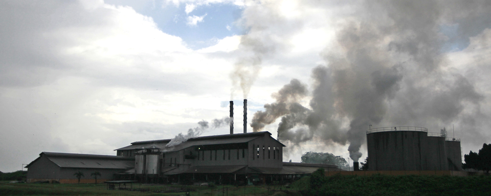 FELDA, principal planteur d’huile de palme au monde, ne figure pas parmi les champions de l'écologie... [Samsul Said]