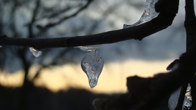 Les températures se sont montrées glaciales sur une bonne partie de la Suisse. Le mercure est descendu à -15 degrés à Château-d'Oex (VD), -12 à Crans-Montana (VS), et -10 à Bullet-La Frêtaz, dans le Jura vaudois. [Emmenegger]