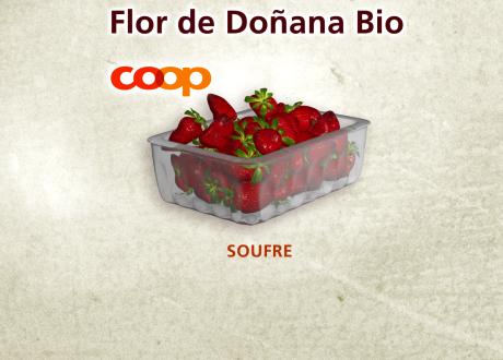 Flor de Doñana Bio [RTS - Capture d'écran]