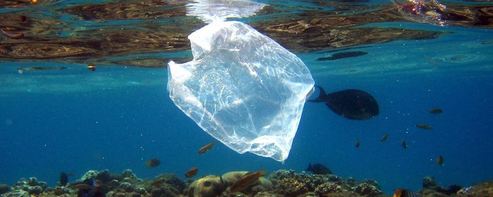 La densité des déchets plastiques dans les océans finit par former un "7e continent". [Mike Nelson]