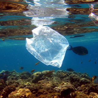 La densité des déchets plastiques dans les océans finit par former un "7e continent". [Mike Nelson]