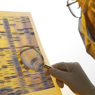 Le profil ADN d'une personne est très utilisé en médecine légale. [Jupiterimages /AFP - Steve Allen]