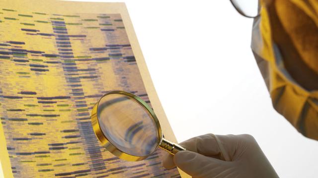 Le profil ADN d'une personne est très utilisé en médecine légale. [Jupiterimages /AFP - Steve Allen]