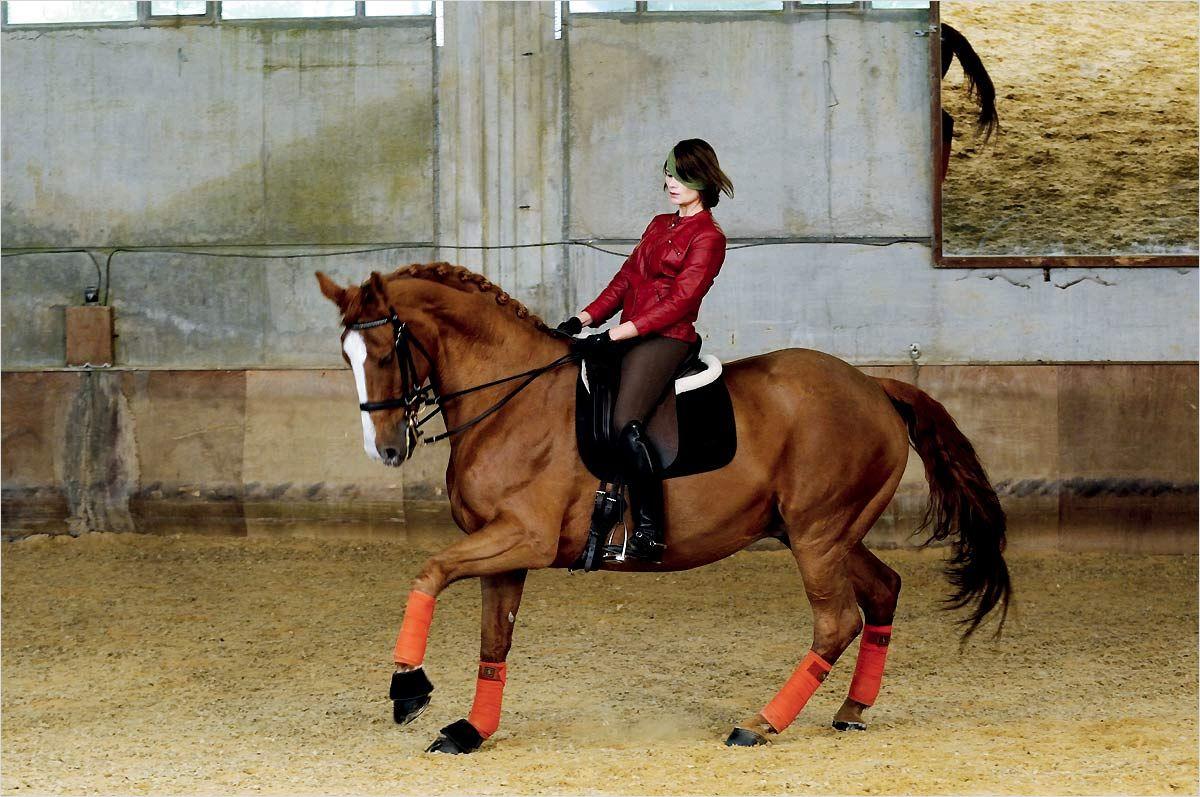 Le microcosme du dressage est disséqué dans "Sport de filles". [Lazennec]