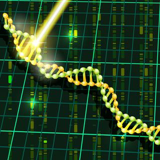 Une immense base de données génétiques a été mise au point pour comprendre les maladies complexes. [mjak]