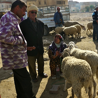 Marché aux moutons de Kasserine (centre ouest de la Tunisie) samedi 20.10.2012. [Thibaut Cavaillès]