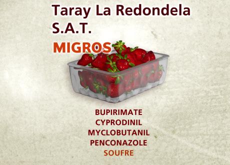 Taray La Redondela S.A.T. chez Migros [RTS - Capture d'écran]