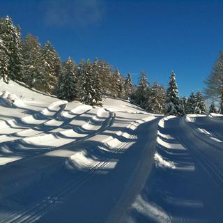 Les pistes de ski de fond à Anzère (VS) avec plus d'un mètre de neige. [Thomas Terrettaz]