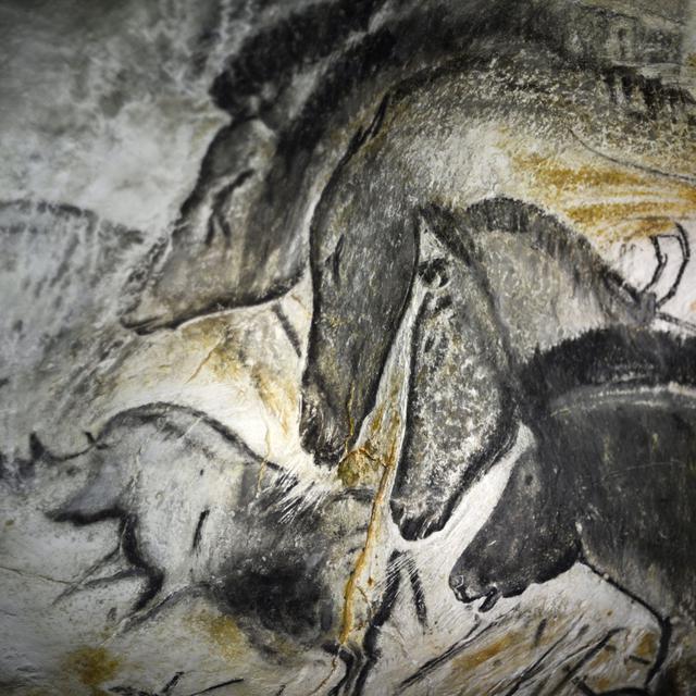 Les magnifiques fresques de la grotte Chauvet, en France. [Jeff Pachoud]