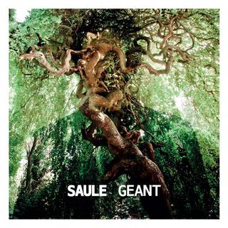 Pochette de l'album "Géant" de Saule. [Disques office]