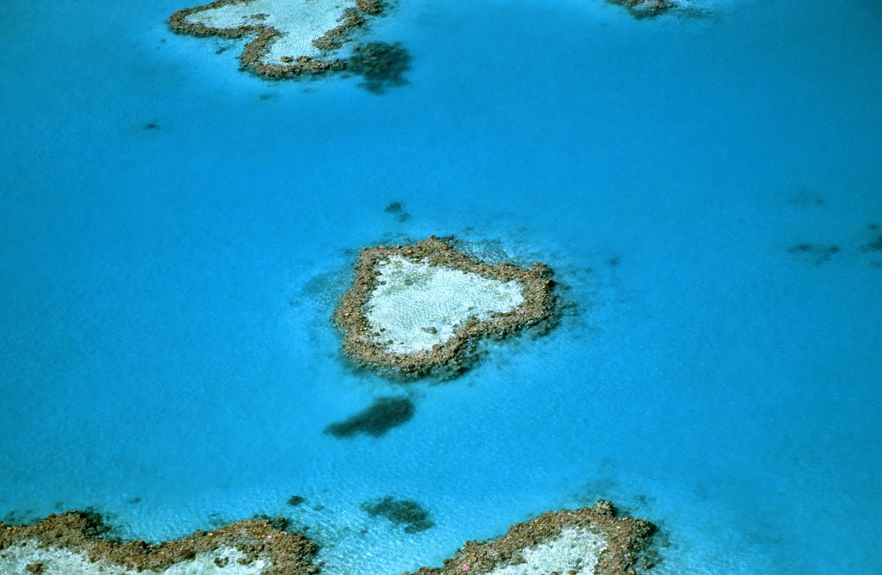 Le projet de cartographie de la Grande barrière de corail va débuter en septembre. [Photononstop - Mond'Image]