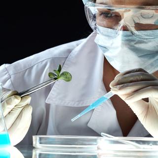 Les chercheurs tentent d'identifier de nouvelles substances actives dans les plantes. [pressmaster]