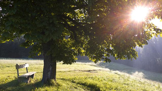 Les "placettes paysagères" sont encouragées dans la plaine de l'Orbe. L'exploitant qui met à disposition un coin de champ d'environ 20m2, reçoit 800 francs pendant deux ans, à condition d'y installer un banc. [Martin Ruetschi]