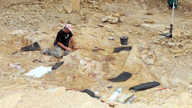 Les archéologues nettoient les fossiles d'ossements du Atsinganosaurus velauciensis. [VILLE DE VELAUX]
