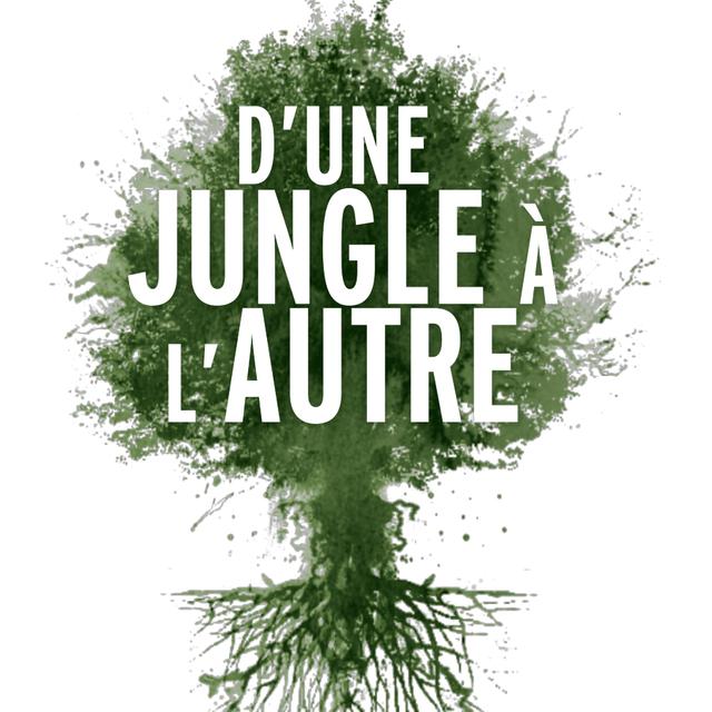 "D'une jungle à l'autre", une série à découvrir sur RTS Un depuis le 27 avril 2012. [RTS]