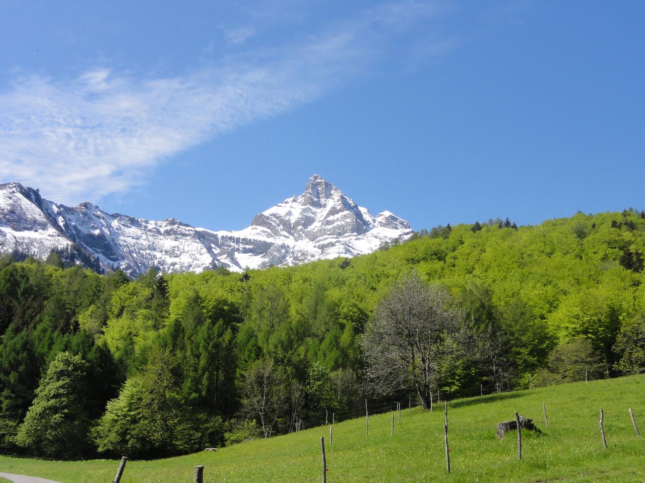 Des cirrus au-dessus de Vérossaz, en Valais. [René Rappaz]