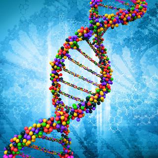 Le génome est l'ensemble du matériel génétique d'un individu. [Fotolia - adimas]