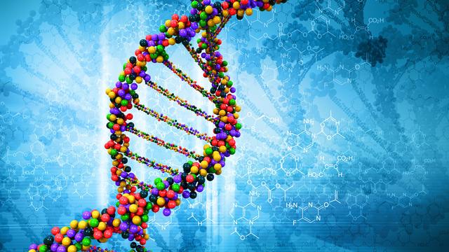 Le génome est l'ensemble du matériel génétique d'un individu. [Fotolia - adimas]