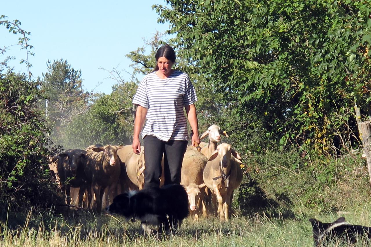 Chantal Alvergnas est venue vivre de la terre dans le Larzac. [RTS/Audrey Sommer - Audrey Sommer]