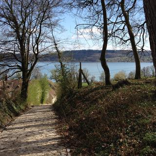 Les paysages de l'île Saint-Pierre sur le lac de Bienne ont profondément inspiré Jean-Jacques Rousseau. [Cédric Némitz]