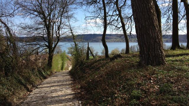 Les paysages de l'île Saint-Pierre sur le lac de Bienne ont profondément inspiré Jean-Jacques Rousseau. [Cédric Némitz]