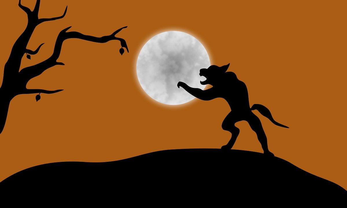 Loup garou Halloween [© jbrandt - Fotolia.com]
