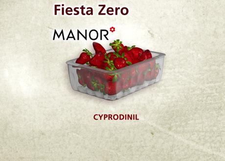 Fiesta Zero chez Manor [RTS - Capture d'écran]