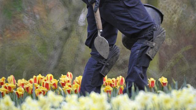 Le secteur de l'horticulture est particulièrement touché par la sous-enchère salariale, selon l'USS. [RIA Novosti - AFP - Alexey Kudenko]