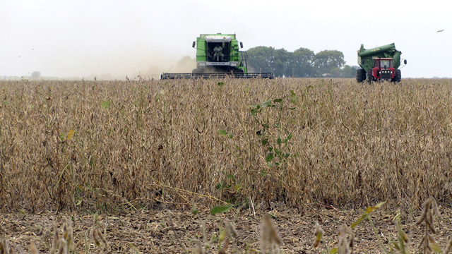 En 2009, une association environnementale argentine lance des poursuites pour interdire l'utilisation du glyphosate dans les champs de soja du pays. [Nicolas Misculin]