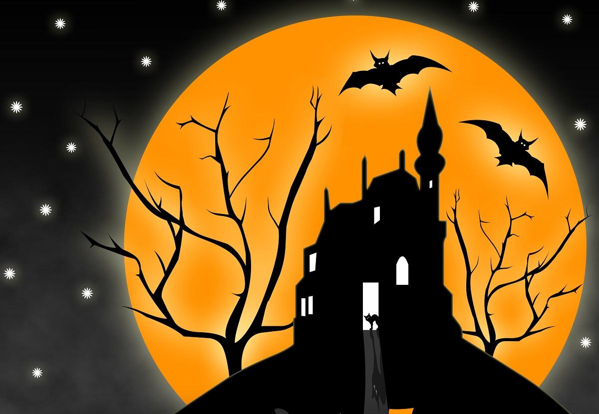 Halloween vampires chauves-souris [© Mimadesign - Fotolia.com]