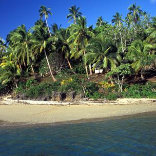 Les îles Tonga, lieu d'origine du sportif en question, sont un environnement peu propice pour le bobsleig. [Stefano Scata]