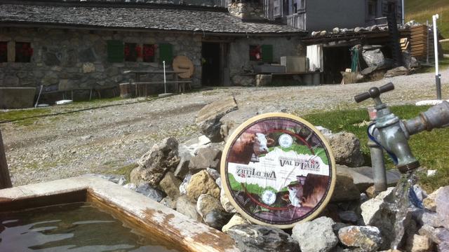 Sur l'alpage de Lapisa (Champéry), le fromage labellisé "Fromage d'alpage du Val d'Illiez au lait cru" [Claude Défago]